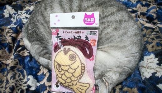 日本製の猫のおもちゃ「にゃんこの和菓子たい焼き」を与えてみた